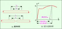 Elongation Rate