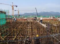 Weekly Report on Building Raw Material Prices